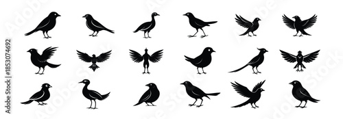 Bird Silhouettes Collection On White Background