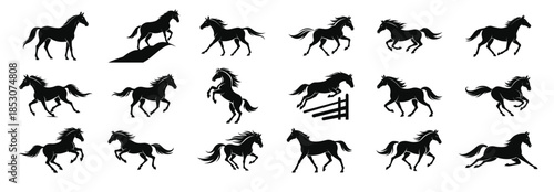 Horse Silhouettes Running On White Background