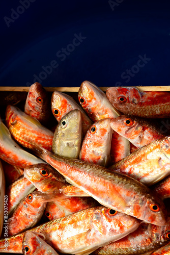 Fresh red mullet fish raw seafood in wooden box, natural organic nutrition for healthy wellness and mediterranean diet lifestyle with copy space.