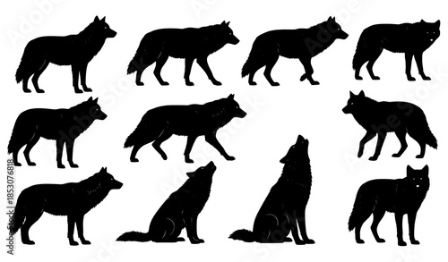 Wolf silhouette vector set showing different standing walking running and howling poses isolated on white background