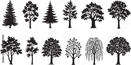 Collection of diverse tree silhouettes, showcasing various species and shapes, ideal for graphic design and nature-themed projects