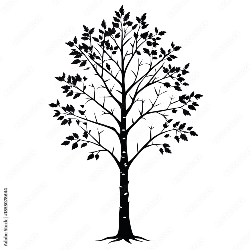 Obraz premium Birch-silhouette-vector-with-white-background 