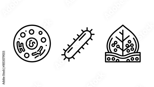 Scientific illustration of a cell, bacterium, and plant tissue structure in a clean line art style
