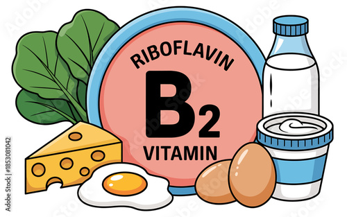 Illustration of Vitamin B2 Riboflavin in Various Foods