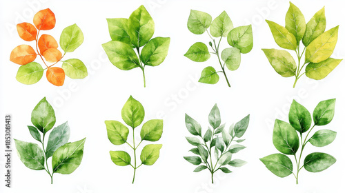 Vibrant Watercolor Leaves Collection for Nature Inspired Designs