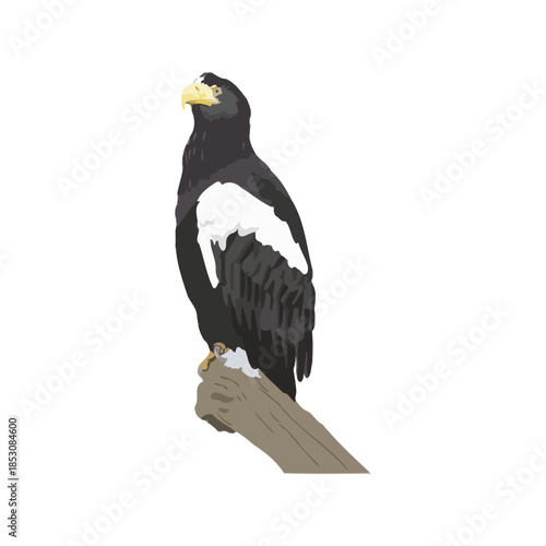Majestic eagle perched on wooden post, wings spread, outdoors in natural setting, viewed from side