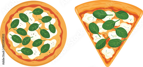 Illustration of a whole round pizza and a single slice topped with spinach and cheese on a white background, ready to eat.