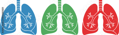Colorful human lung anatomy illustrations showing the respiratory system.