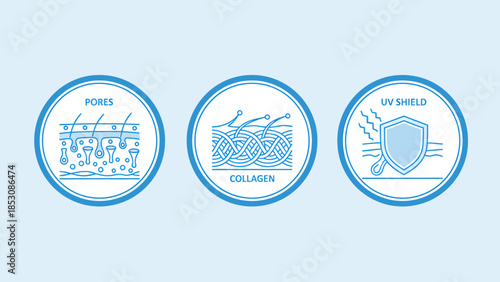 Vector line icons illustrating skin health concepts detailed pores, vital collagen structure, and essential UV protection for dermatological care