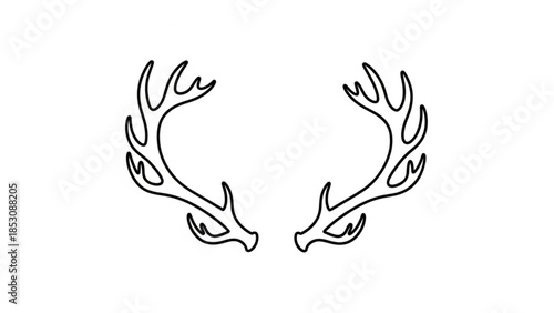 Detailed illustration of symmetrical deer antlers in minimalist line art style on white background for design and decoration purposes with strong graphic appeal