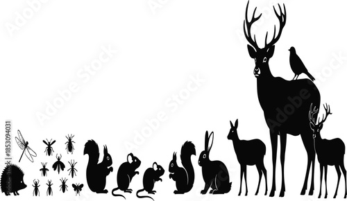 Wildlife silhouettes showing forest animal hierarchy from insects to deer, natural ecosystem balance and biodiversity concept illustration isolated on white background
