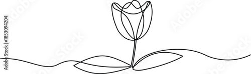 Line art drawing of a single tulip flower on a clean white background
