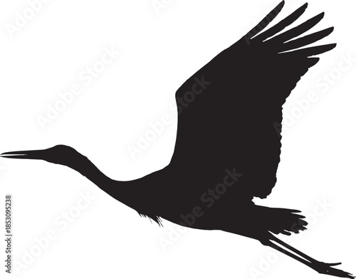 Silhouette of a bird in flight