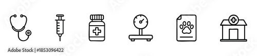 Veterinary medicine and pet care symbols featuring a stethoscope syringe medication bottle weighing scale document and clinic building for animal health concepts