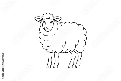 outline illustration of a sheep for children's coloring book