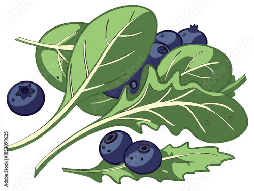 Fresh blueberries and green leaves on white background