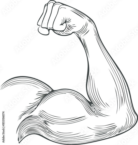Simple line drawing of a flexed arm showing a strong bicep muscle