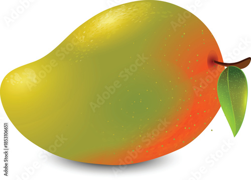 mango on a white background