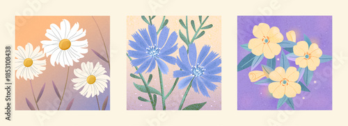 Soft floral illustrations with textured backgrounds, featuring daisy and wild flowers in pastel colors. Gentle botanical art for decor, prints, cards, and modern design projects.