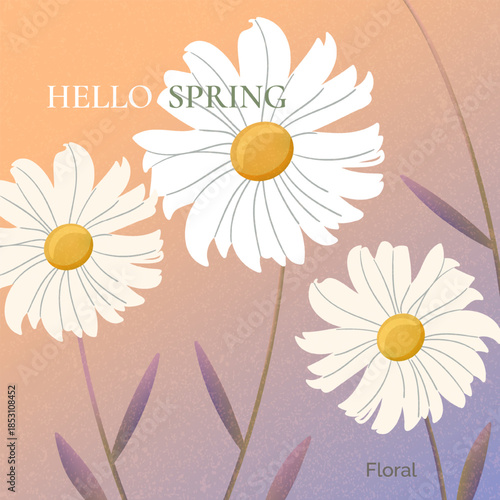 Soft floral card with textured backgrounds, featuring daisy and wild flowers in pastel colors. Gentle botanical art for decor, prints, hello spring