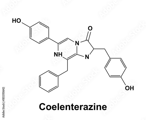 coelenterazine molecuLe formula molecule vector illustration