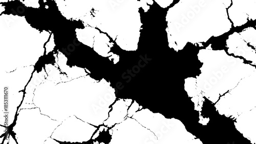 cracked surface with black and white pattern