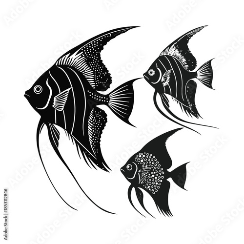 Three angelfish swimming together in elegant black and white illustration