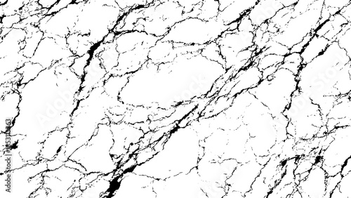 Marble surface with black veins on white background
