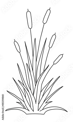 Simple line drawing of cattails plant with leaves and seed heads