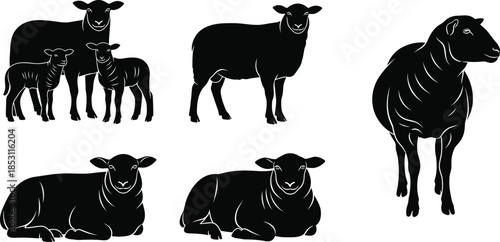 Sheep silhouette vector illustration, farm animal clipart, lamb and ewe poses, black livestock icons, rural graphic design, agricultural artwork set