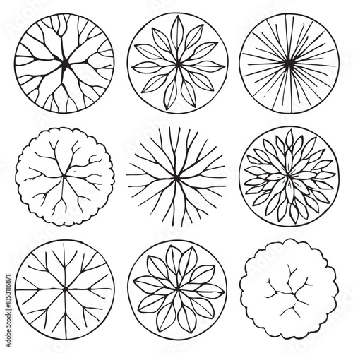CAD Trees Top View Set – Landscape Design and Architectural Elements