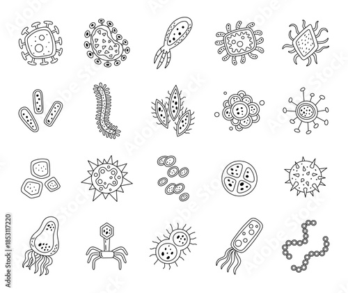 Microorganism set in outline line art featuring virus, bacteria, amoeba, phage spores, cells, colonies, chains, flagellum, capsules, clusters for your illustration and designs projects