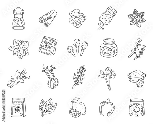 Kitchen spice ingredient set in outline line art featuring herbs seasonings sauces and aromatic elements for cooking culinary food projects, perfect for your illustration