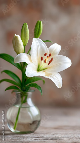 Wallpaper Mural Elegant white easter lily flower in vase for spring and religious decor Torontodigital.ca