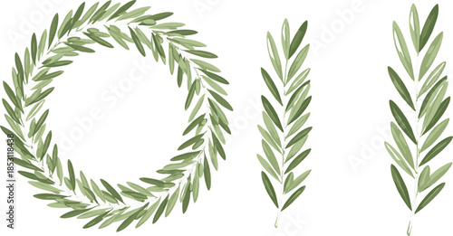 Green olive branch wreath and leaf stems vector set for wedding invitations Mediterranean organic food packaging and nature branding.