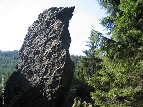 Felsen und Schutthalde am Geierfelsen im Thüringer Wald