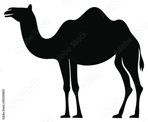 Isolated Silhouette of a Camel Animal Arabian Desert Creature