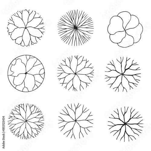 CAD Trees Top View Set – Landscape Design and Architectural Elements