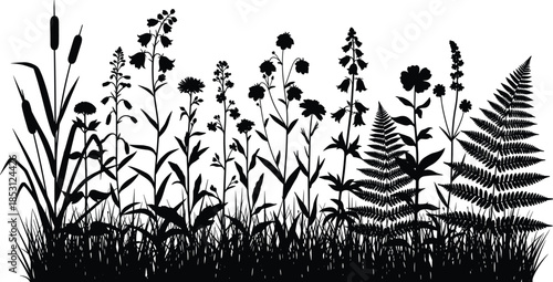 Wild meadow grass and flowers silhouette collection flat vector illustration isolated on white background for nature botanical landscape design