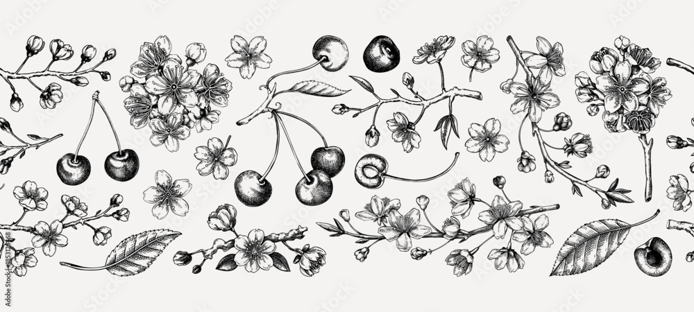 Obraz premium Cherry blossom tree hand-drawn vector illustrations. Sakura flower sketches. Vintage seamless background. NOT AI generated