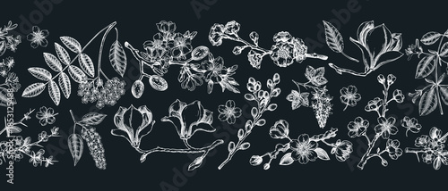 Blooming trees border design. Flowering branches hand drawn vector illustration. Vintage spring background. NOT AI generated