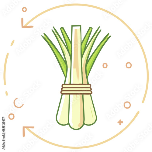 Lemongrass Bunch Fresh Organic Culinary Herb for Cooking Vector Illustration