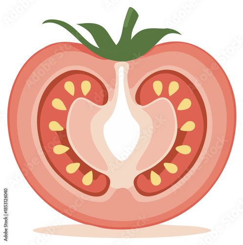 Graphic sliced tomato revealing seeds and cross-section details, food vector illustration