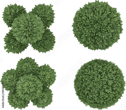 Vector top-down view of stylized green shrubs and bushes for garden layout, landscape design, foliage texture, and botanical illustration concept.
