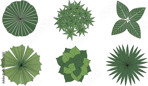 Vector top-down view of stylized green foliage and leaf clusters for botanical design, garden planning, nature layout, and landscaping concept.