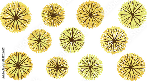 Vector top-down view of stylized floral and botanical elements for nature design, garden planning, decorative layout, and artistic foliage concept.