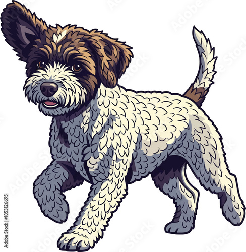 Lagotto Romagnolo dog running energetic movement pose
