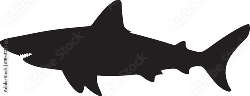 Black silhouette of a shark with sharp teeth and fins on a white background Keywords: shark, silhouette, black, white background, animal, marine, ocean, predator, sea, underwater, dangerous, teeth