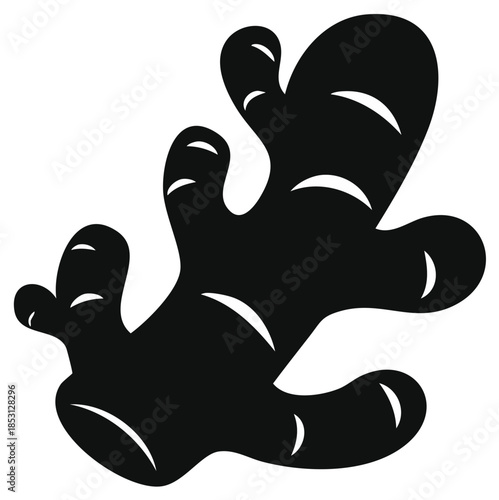 Black silhouette of a ginger root with curved lines indicating texture and form