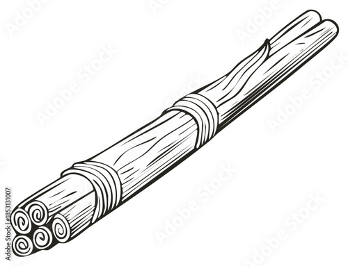 Bundle of cinnamon sticks tied with natural fiber line art illustration